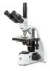 Microscope EUROMEX BS.1153‑EPLi, trinocular
